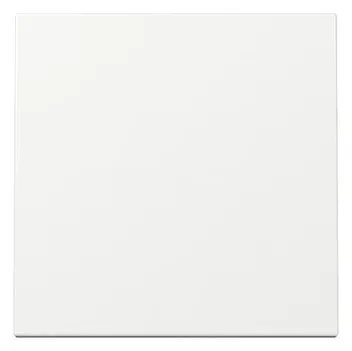 GIRA 329603 Rocker System 55 pure white