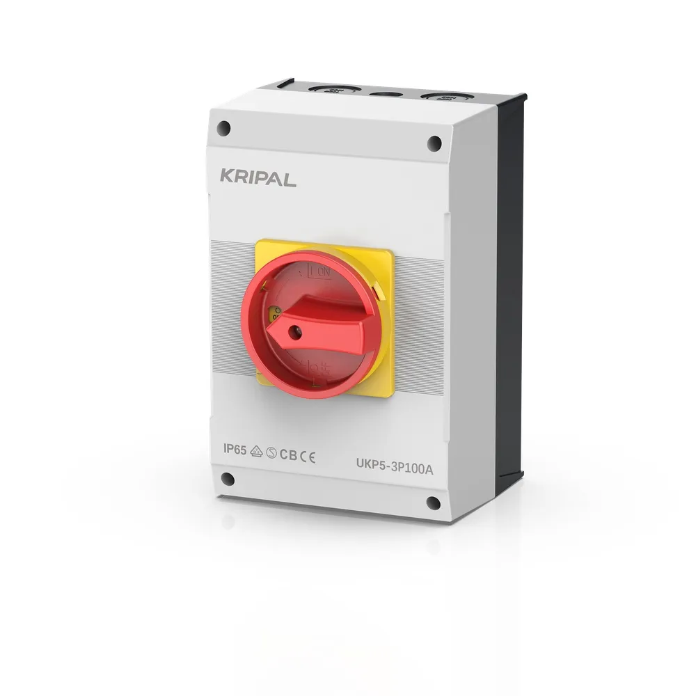 Main switch 100A 3-pole VDE