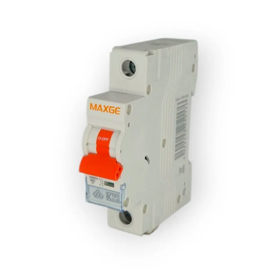 Circuit breaker B63 1-pole 6kA
